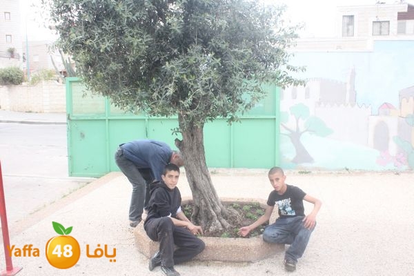 zohormasjednoor34 (8).JPG